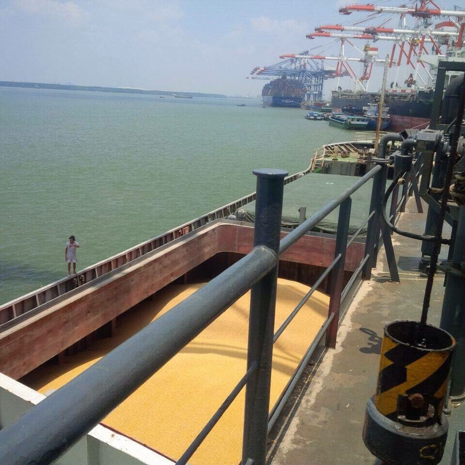 VẬN CHUYỂN ĐƯỜNG BIỂN