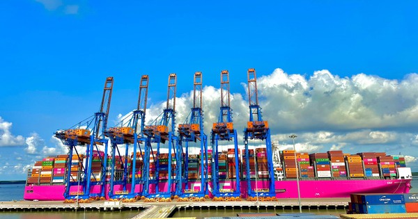Đơn hàng mới ở Việt Nam cao nhất 2 năm, các công ty logistics tập trung vào thương mại quốc tế như Gemadept, SCS, SGP... hưởng lợi ra sao?