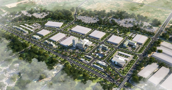 Dolphin Sea Air Services Corporation ra mắt Trung tâm Logistics Quốc tế Bắc Giang