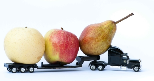Sotrans – từ số dư tiền khổng lồ đến kế hoạch tăng gấp đôi vốn điều lệ